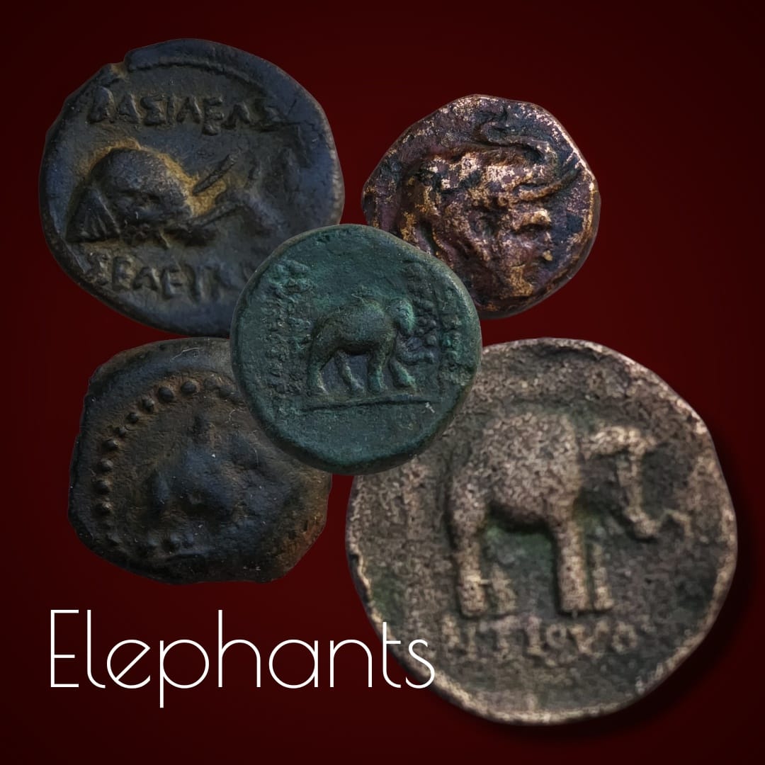 A curated selection of ancient coins from the Seleucid and Parthian empires, featuring elephants as symbols of power, victory, and cultural prestige, presented by TerraNumis.