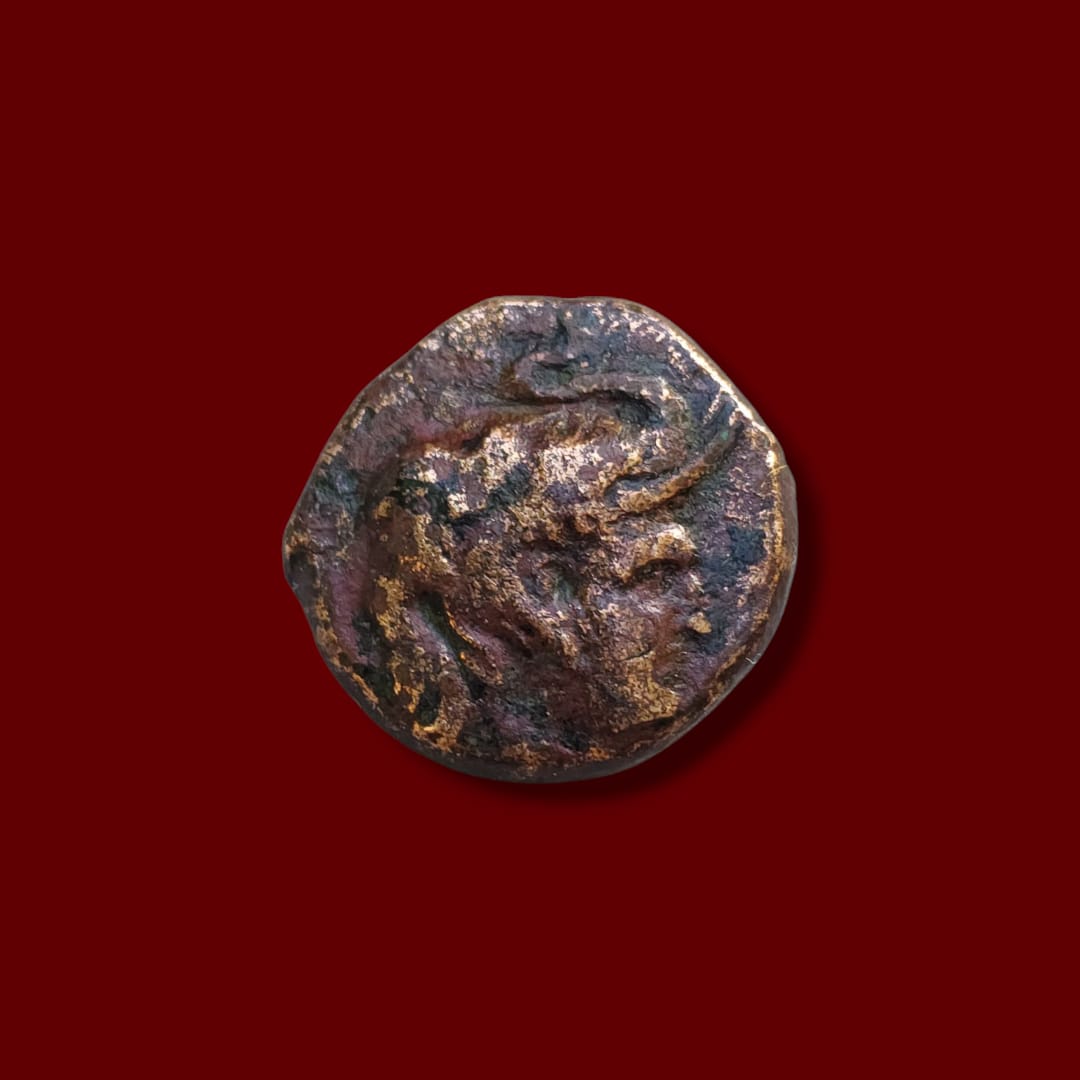 Seleukos I Nikator — Obverse Bust of Seleukos I Nikator, facing right, wearing diadem. Ancient Seleucid bronze coin obverse.