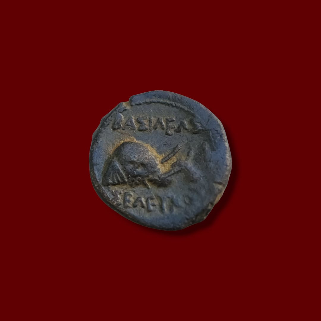 Seleukos II Callinicus — Reverse Ancient Seleucid coin reverse featuring an elephant walking right, with Greek inscription above.