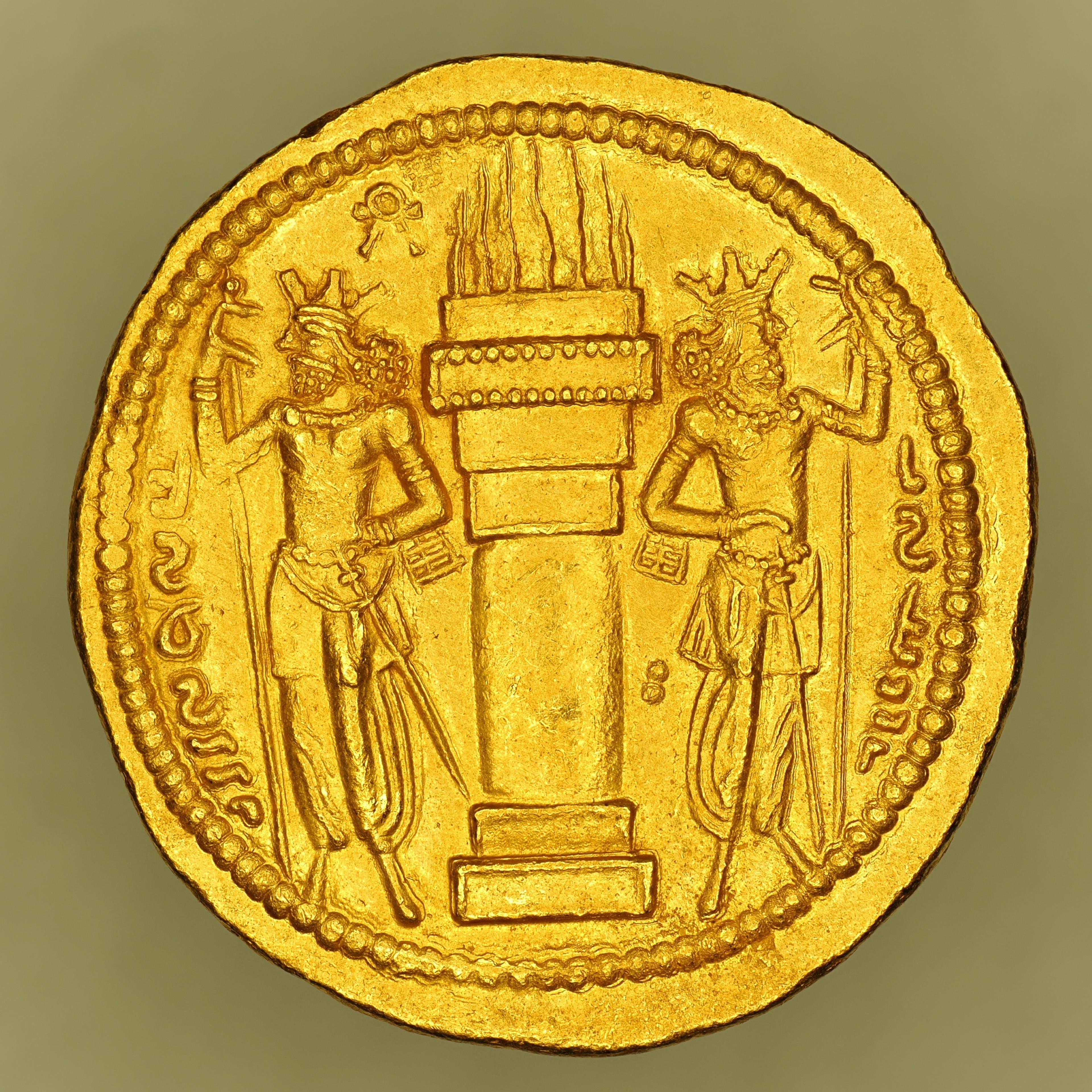 SASA-SHAP1-AV-DIN-012 reverse
