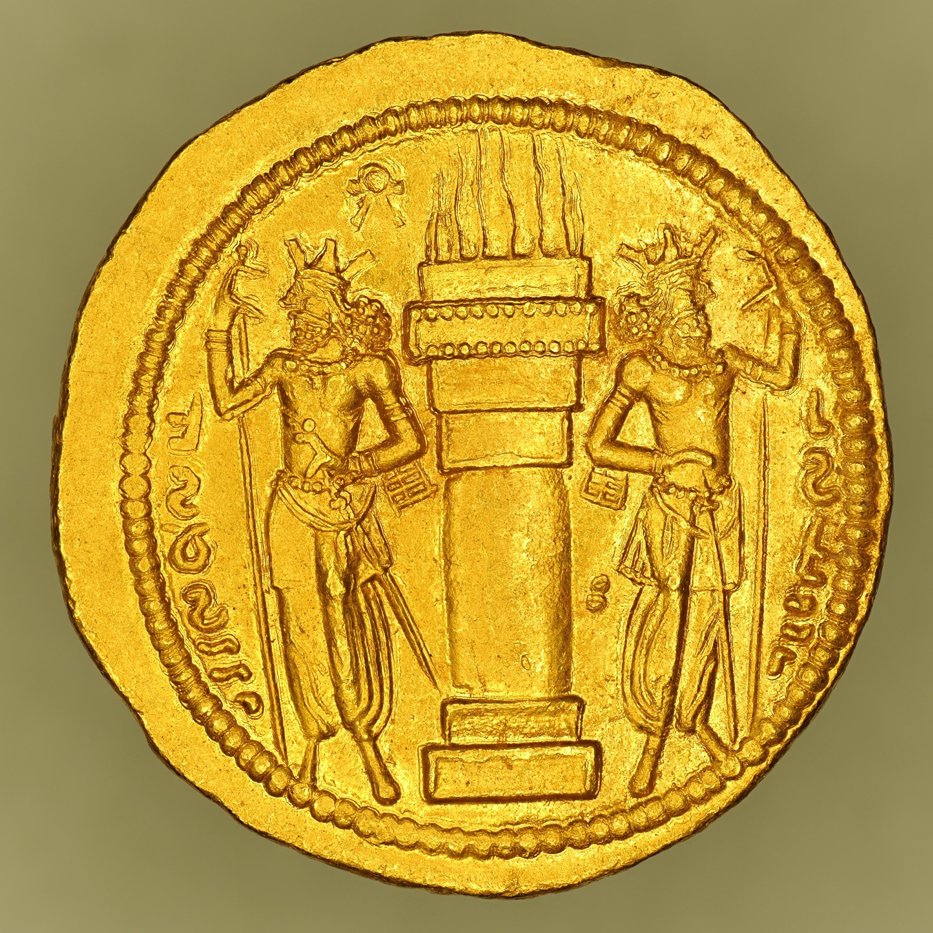 SASA-SHAP1-AV-DIN-013 reverse
