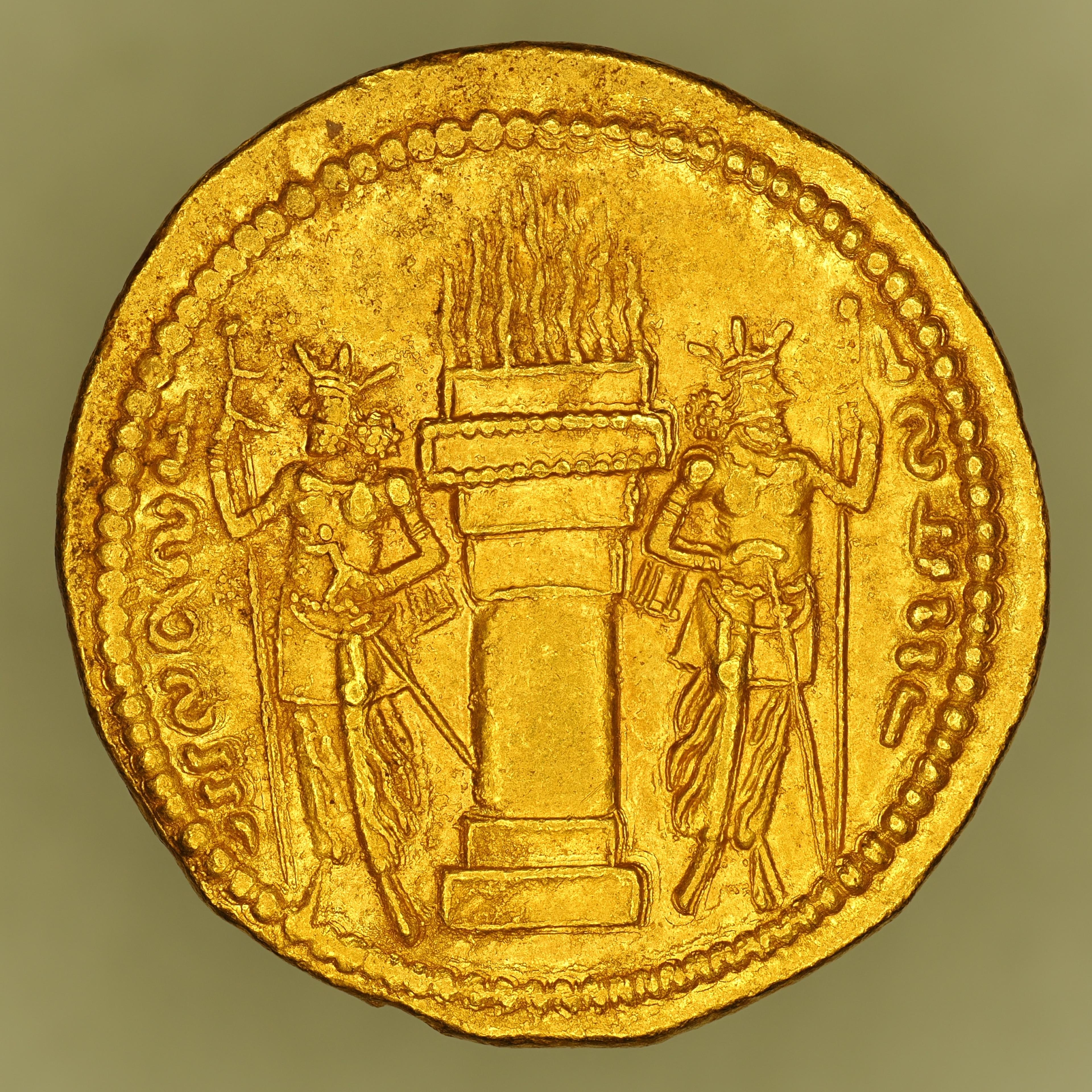 SASA-SHAP1-AV-DIN-014 reverse