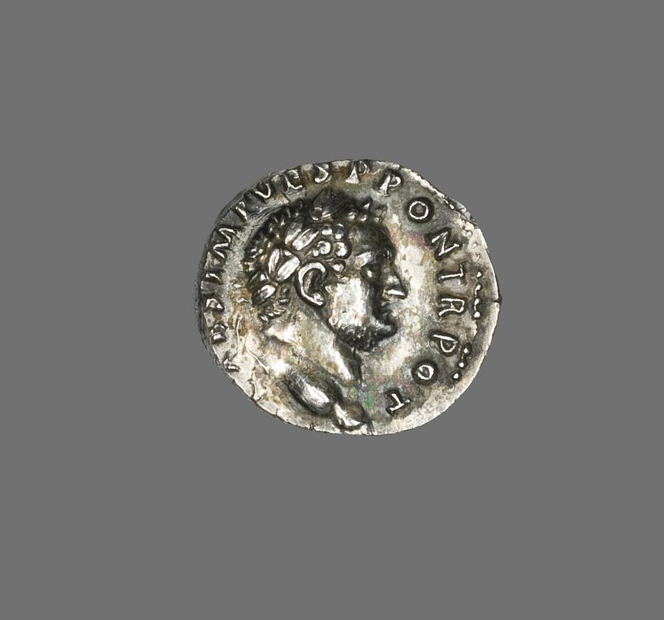 Titus, Silver denarius, collection photograph AIC-5624, obverse