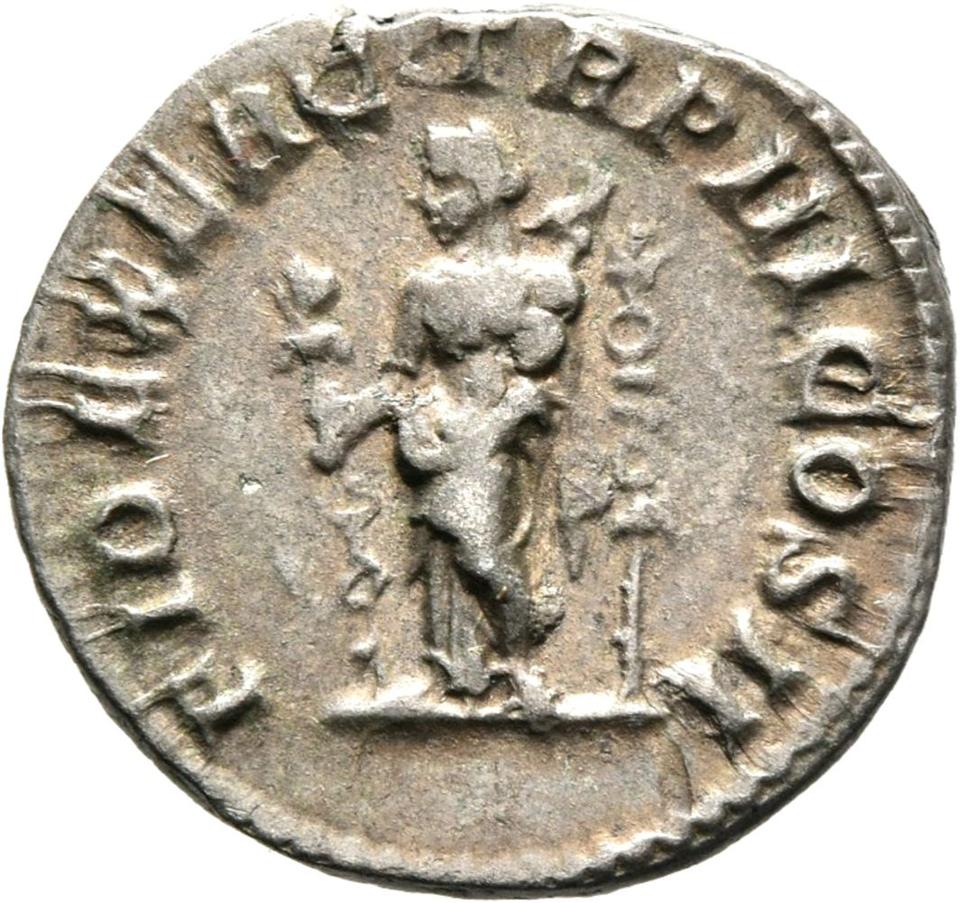 Geta, Silver denarius, collection photograph Mainz-ID520, reverse