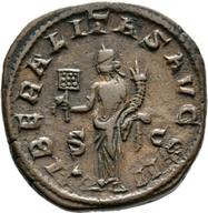 Mainz-ID707 reverse