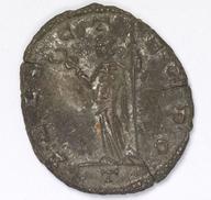 IATH-1991.17.195 reverse