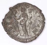 IATH-1991.17.247 reverse