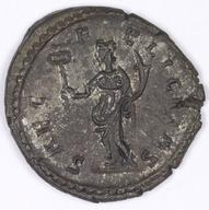 IATH-1991.17.169 reverse