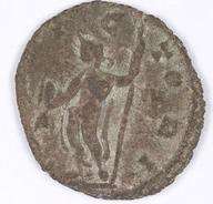 IATH-1991.17.177 reverse