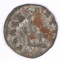 IATH-1991.17.193 reverse