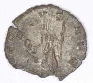 IATH-1991.17.198 reverse