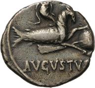 Herzog-ID2586 reverse