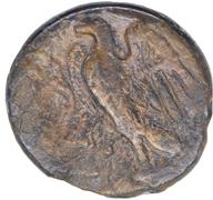 CEAlex-3891 reverse