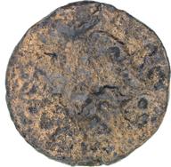 CEAlex-3919 reverse