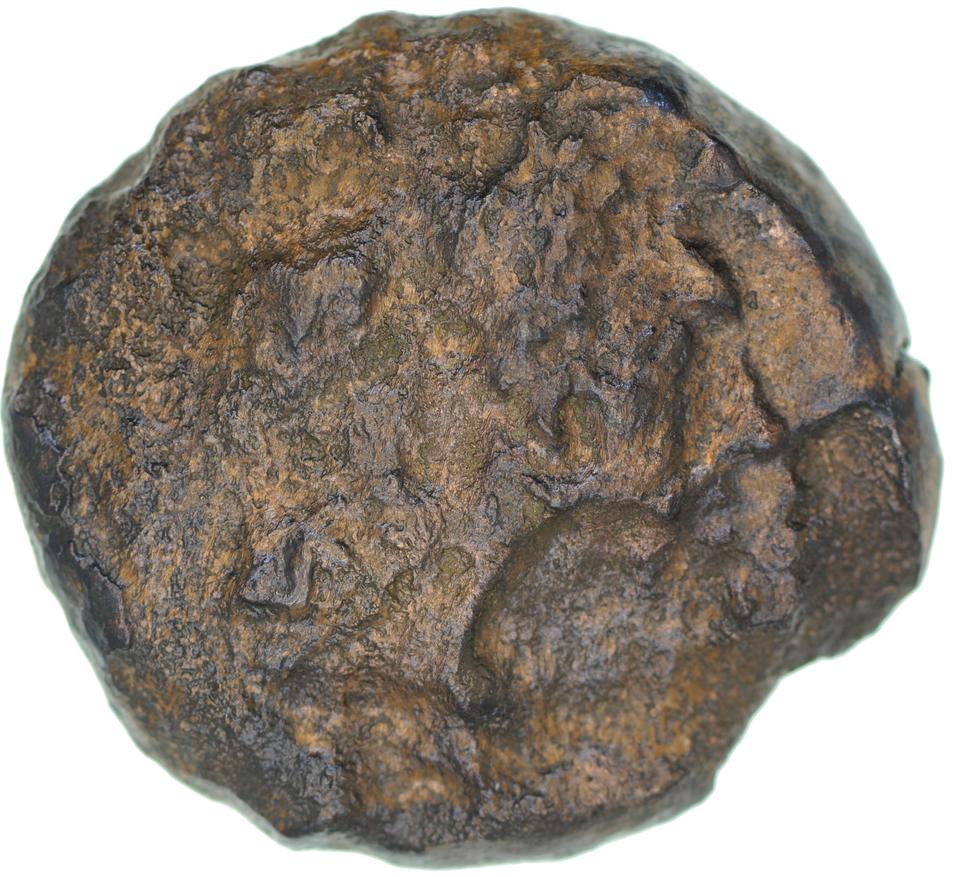 Ptolemy II Philadelphus, copper-alloy diobol, collection photograph CEAlex-3885, obverse