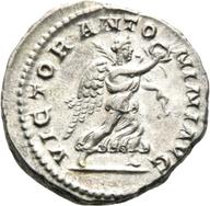 Mainz-ID555 reverse