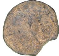 CEAlex-3981 reverse
