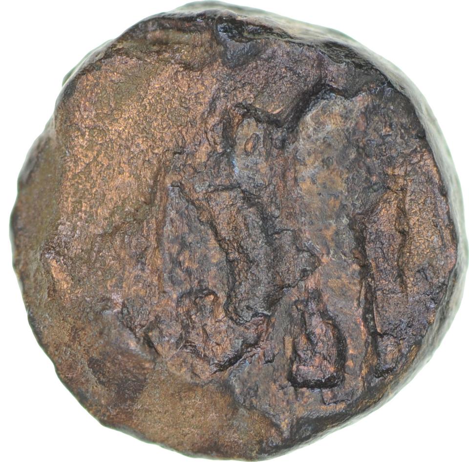 Ptolemy I Soter, copper-alloy hemiobol, collection photograph CEAlex-3889, reverse