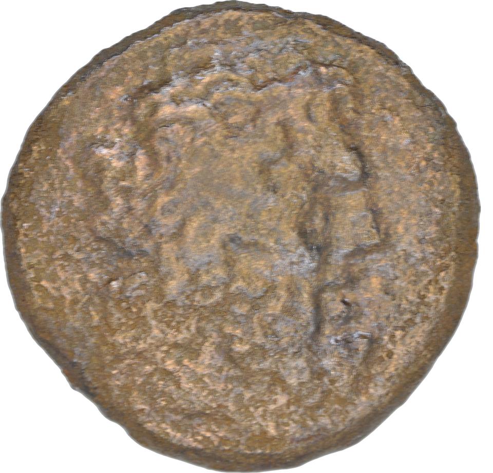Ptolemy I Soter, copper-alloy diobol, collection photograph CEAlex-3898, obverse