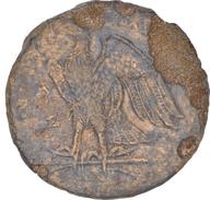CEAlex-3895 reverse