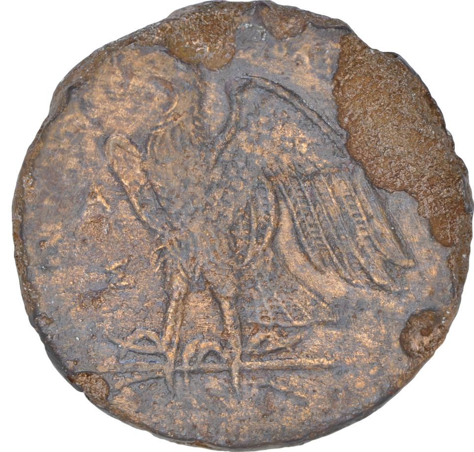 Ptolemy I Soter, copper-alloy diobol, collection photograph CEAlex-3895, reverse