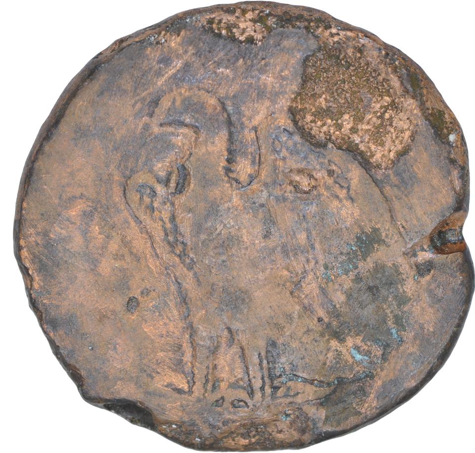 Ptolemy I Soter, copper-alloy diobol, collection photograph CEAlex-3990, reverse