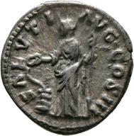 Mainz-ID343 reverse