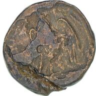 CEAlex-3961 reverse