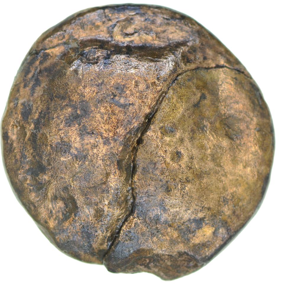 Ptolemy II Philadelphus, copper-alloy obol, collection photograph CEAlex-3961, obverse