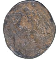 CEAlex-3893 reverse