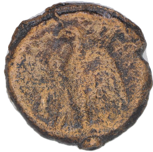 Ptolemy II Philadelphus Bronze Hemiobol, reverse