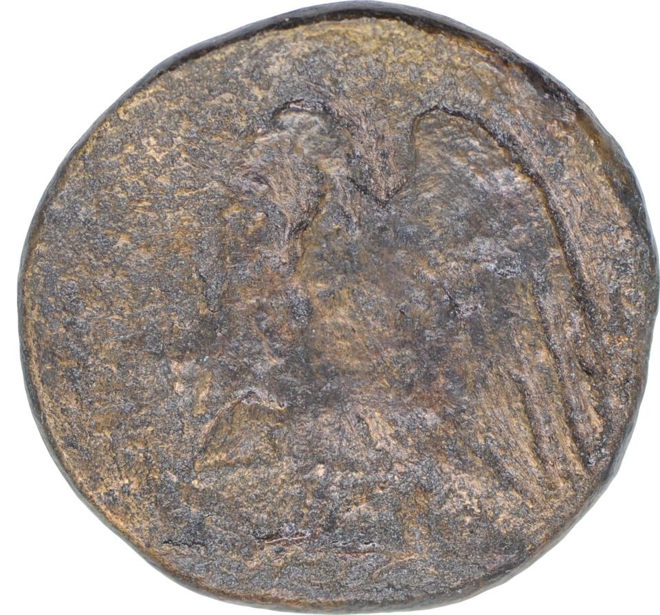 Ptolemy I Soter, copper-alloy hemiobol, collection photograph CEAlex-3875, reverse