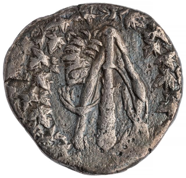 Apamea Silver Didrachm, obverse