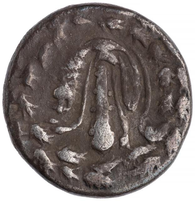 Tralles Silver Didrachm, obverse
