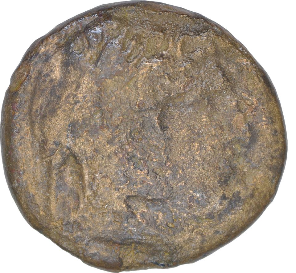 Ptolemy I Soter, copper-alloy obol, collection photograph CEAlex-3904, obverse