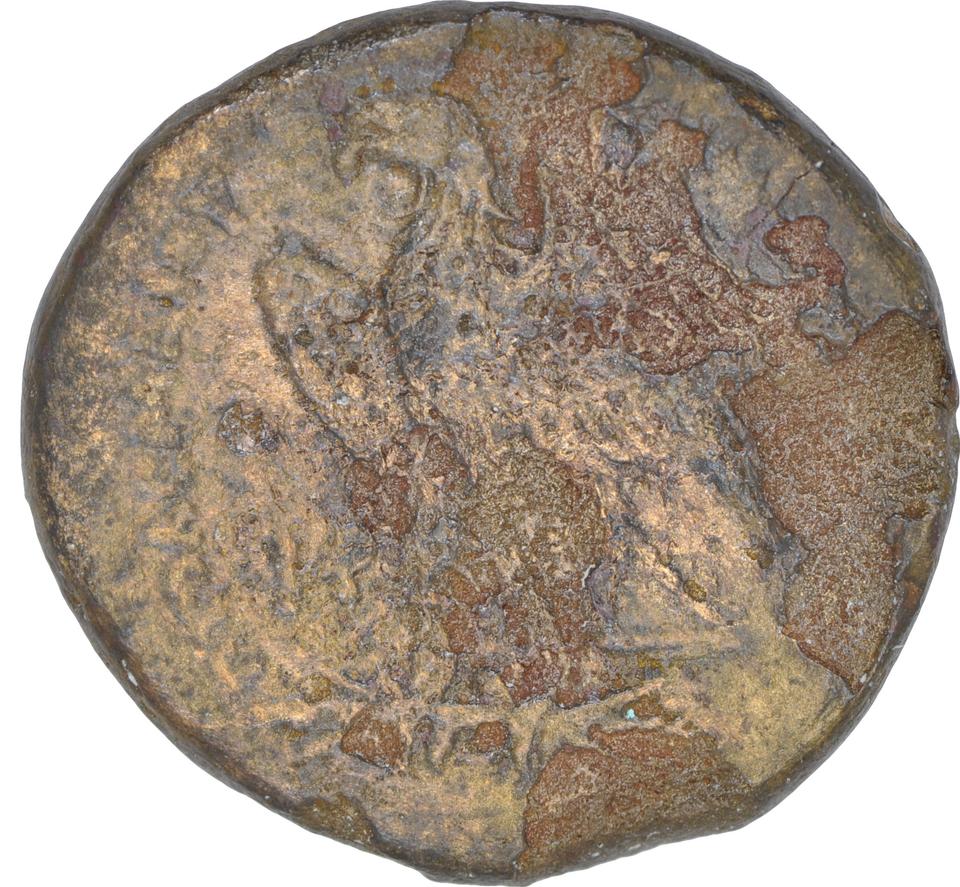 Ptolemy I Soter, copper-alloy obol, collection photograph CEAlex-3904, reverse