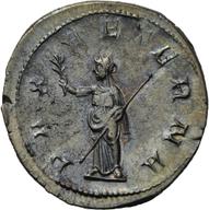 Herzog-ID2599 reverse