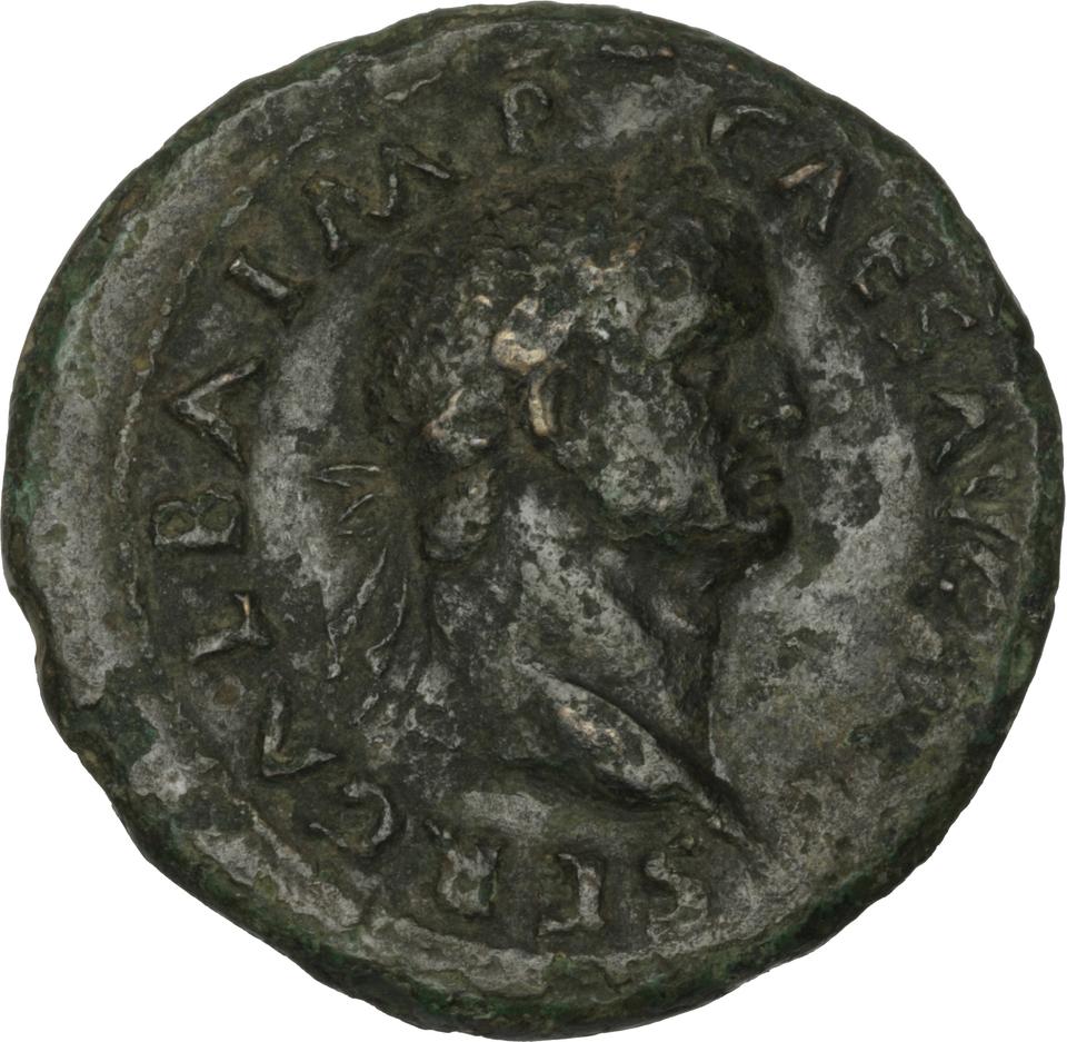 Galba, Bronze sestertius, collection photograph Herzog-ID27, obverse