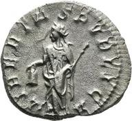 Mainz-ID170 reverse