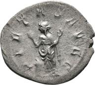 Mainz-ID147 reverse