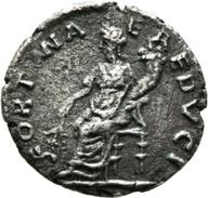 Mainz-ID384 reverse