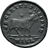 Mainz-ID181 reverse