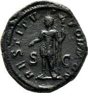 Mainz-ID648 reverse