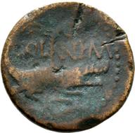 Mainz-ID466 reverse