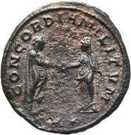 Mainz-ID136 reverse