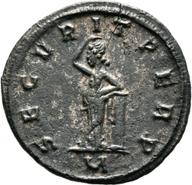 Mainz-ID179 reverse