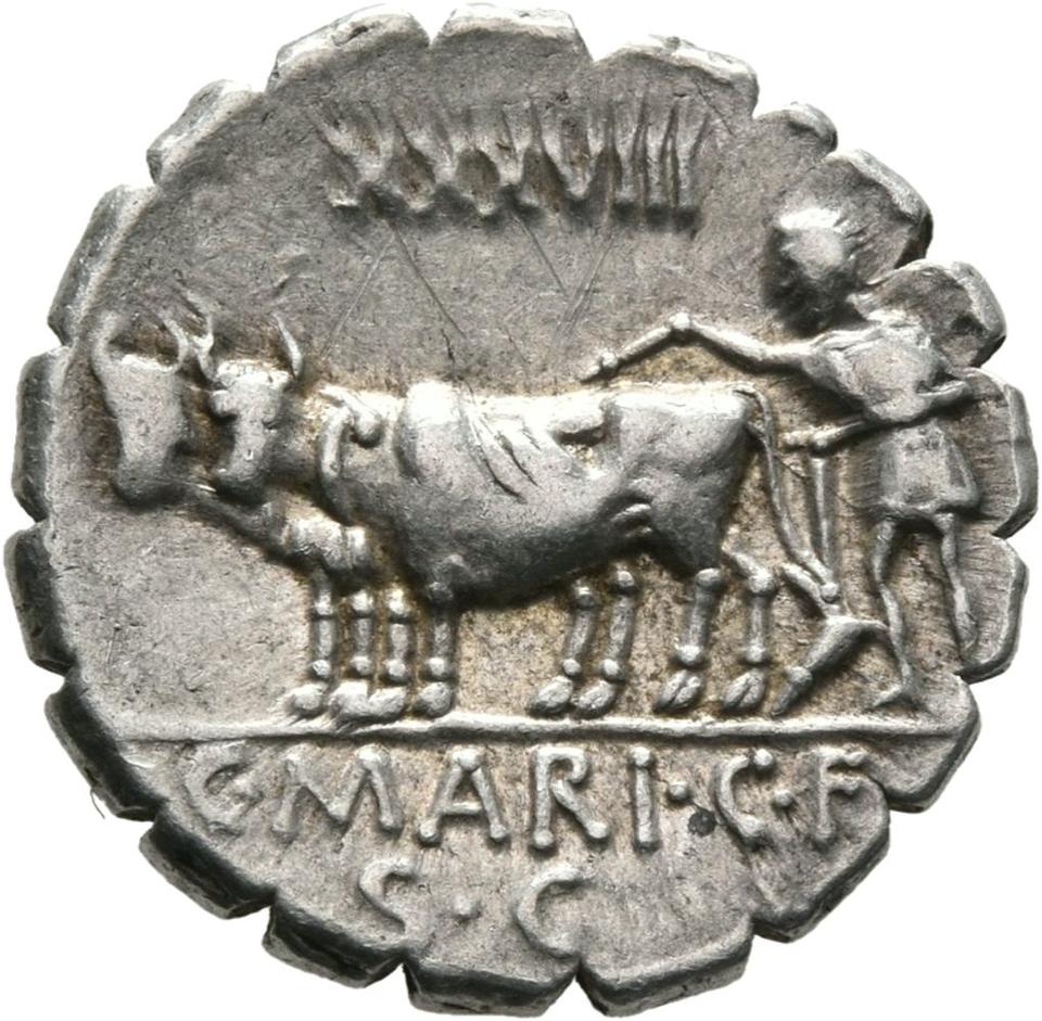 Roman Republic, silver denarius serratus, collection photograph Mainz-ID328, reverse