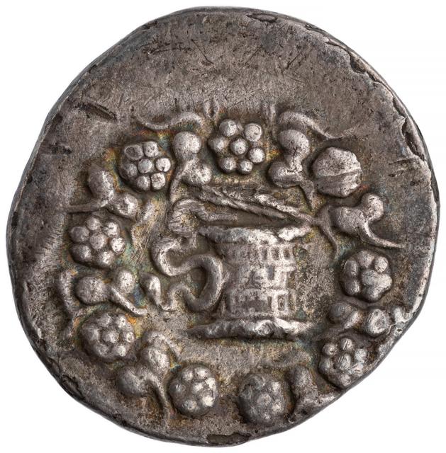 Roman Republic Silver Cistophorus, obverse