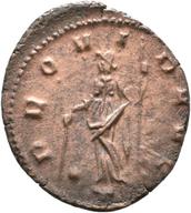 Rostock-ID1223 reverse