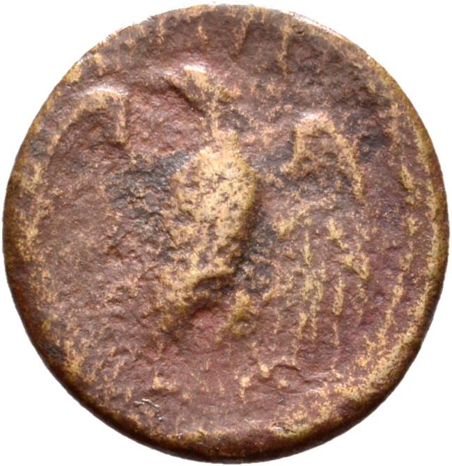 Augustus, copper-alloy quadrans, collection photograph Rostock-ID568, reverse